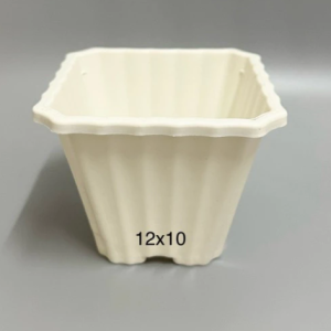 chậu 12x10