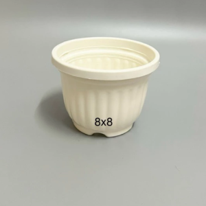 chậu 8x8