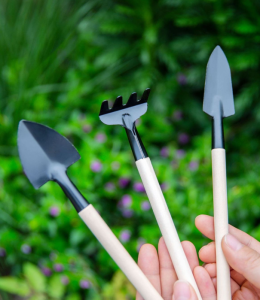 bộ dụng cụ trồng sen đá
