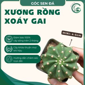 xoáy gai