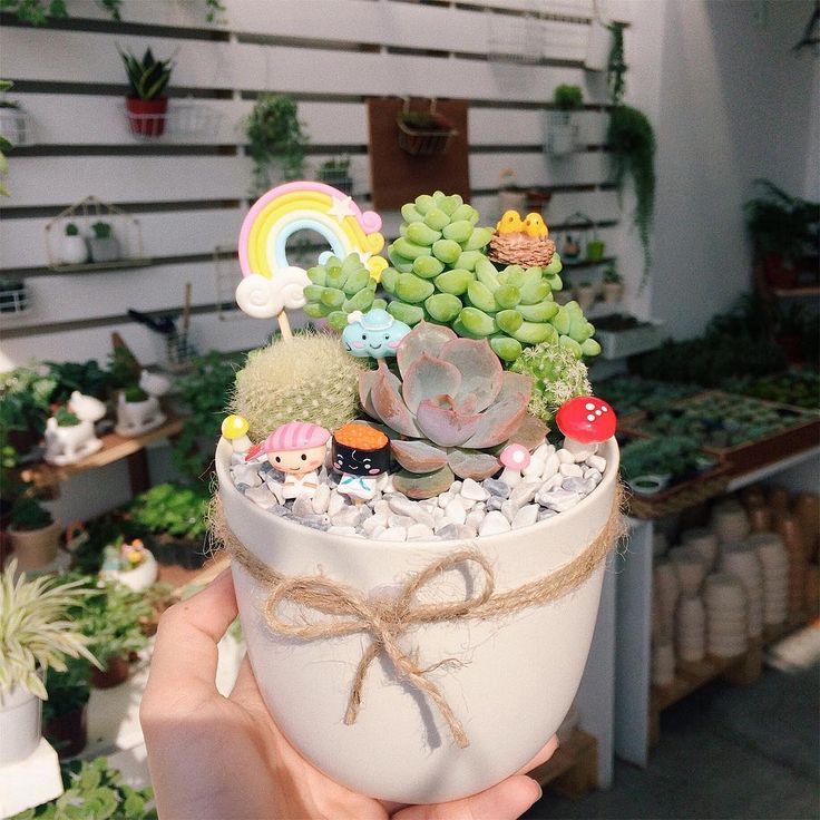combo quà tặng
