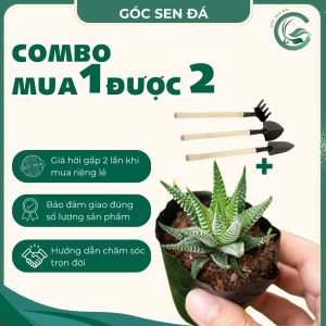 combo mua 1 được 2