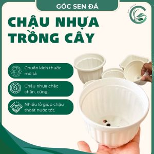 chậu nhựa