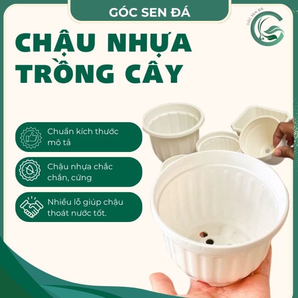 chậu nhựa