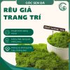 rêu giả trang trí