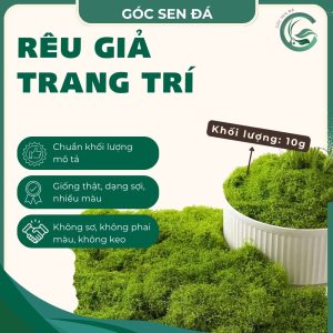 rêu giả trang trí
