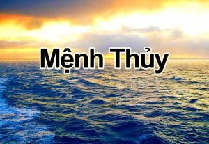 Cây Sen Đá Hợp Mệnh Thủy