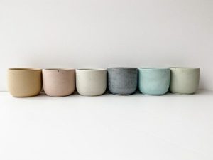 chậu, cách trồng sen đá khi mới mua về