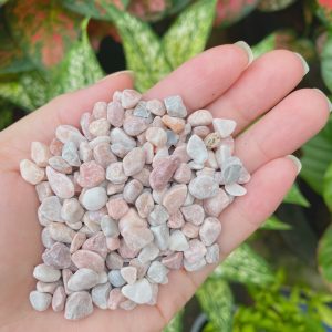 cát sỏi màu trang trí sen đá