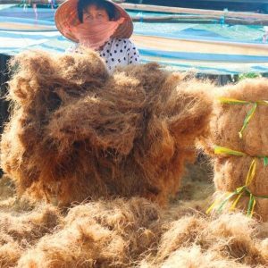 Cách trộn đất trồng sen đá