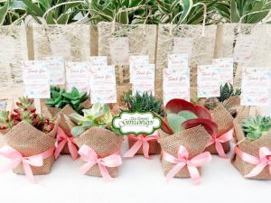 avt ý nghĩa khi tặng sen đá