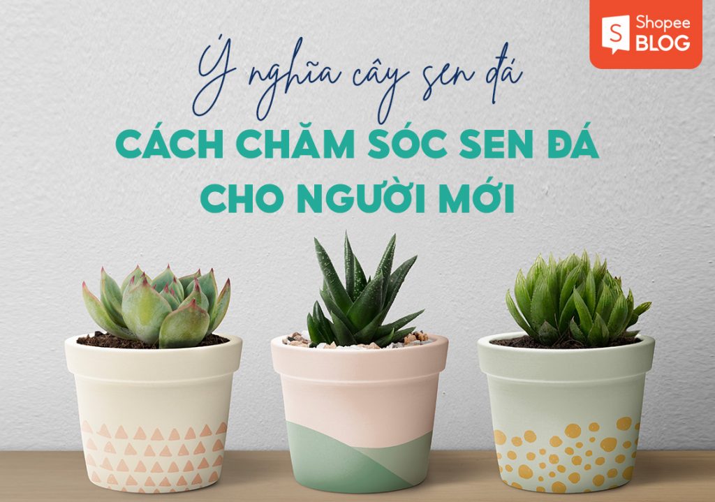 sàn TMĐT