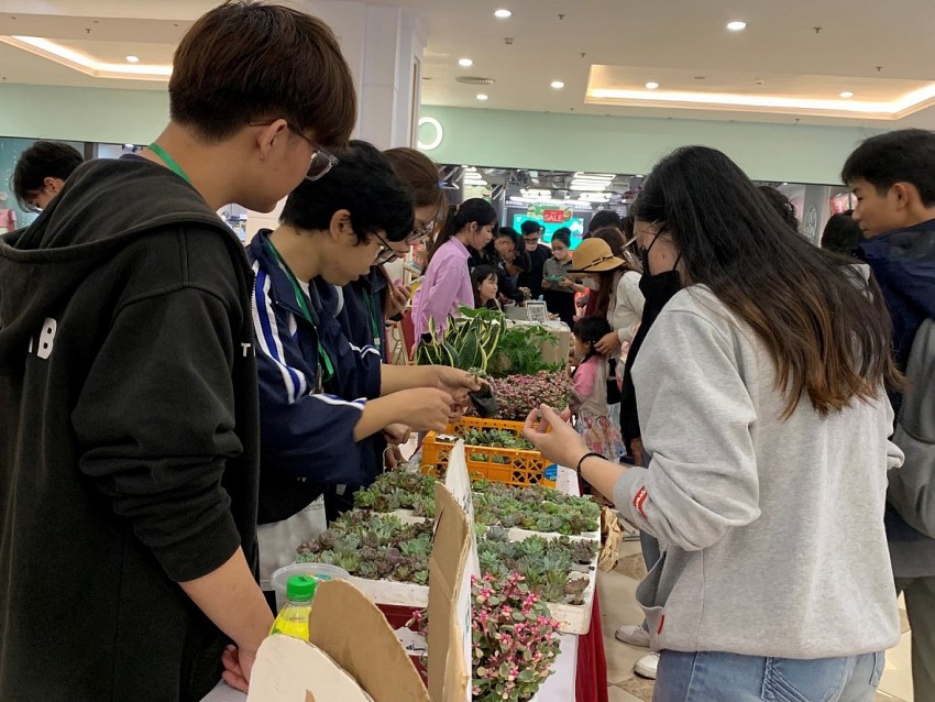Hội nhóm sen đá