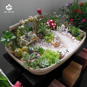 tiểu cảnh sen đá