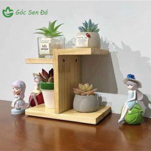 sen đá decor bàn học